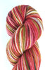 Skinbow Zebrafish- Hand dyed yarn - Merino Fingering red brown green pink