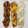 Fade Yarn Set - Honey Hive Hidden Temple Banana Breakfast-  3 100g skeins of Hand dyed