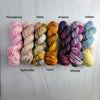 Hera - Hand dyed Variegated yarn -  Fingering to bulky-  Greek Goddess collection - orange purple brown pink green fall colors