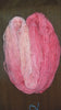Living Coral - Hand dyed variegated yarn - SW Merino Fingering to worsted