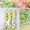 Watermelon Sugar - Hand dyed variegated speckled yarn - Merino Fingering to worsted