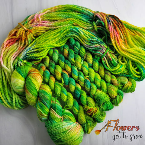 Flowers Yet to Grow - Hand dyed Variegated yarn -  Fingering to bulky-  rainbow lime green orange - Transformation Series