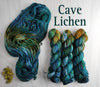 Cave Lichen - Hand dyed yarn - SW Merino Fingering Weight green teal brown