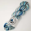 Steller's Jay- Hand dyed yarn -Merino Fingering White grey black blue