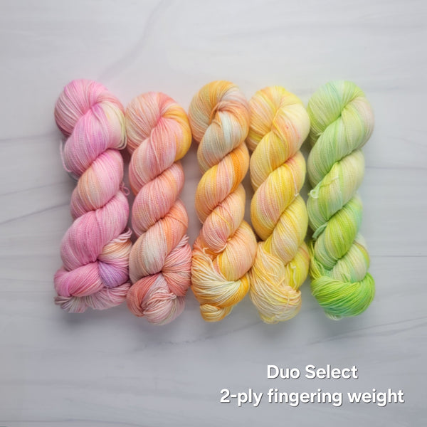 Ready to ship fade set of 5 - warm pastel rainbow set on DUO base SW Merino wool