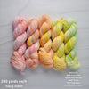 Ready to ship fade set of 5 - warm pastel rainbow set on Votive DK SW Merino wool