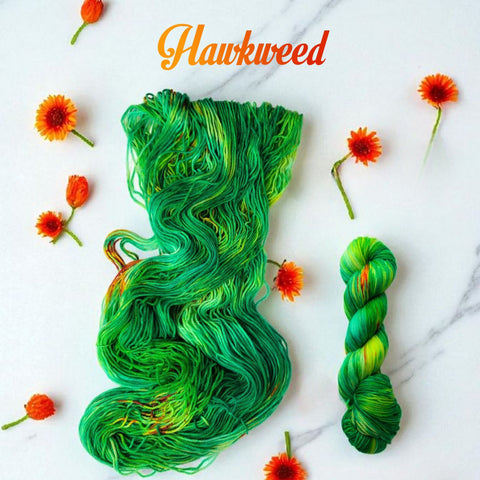 Hawkweed - Hand dyed yarn, green orange
