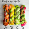 SALE lot B6 - Ready to ship yarn - SW Merino blend yarn - 100g each