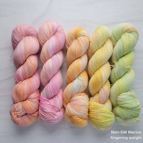 Ready to ship fade set of 5 - warm pastel rainbow set - NON Superwash Merino wool