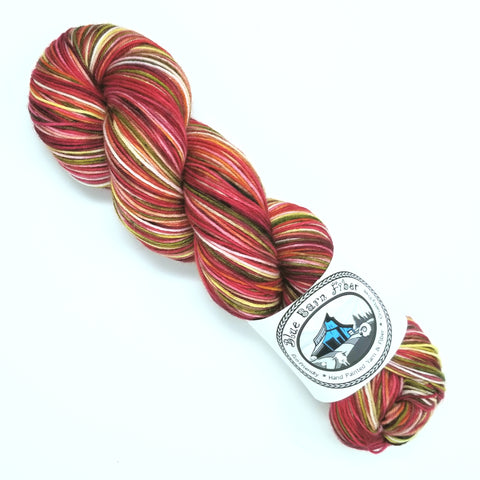 Skinbow Zebrafish- Hand dyed yarn - Merino Fingering red brown green pink