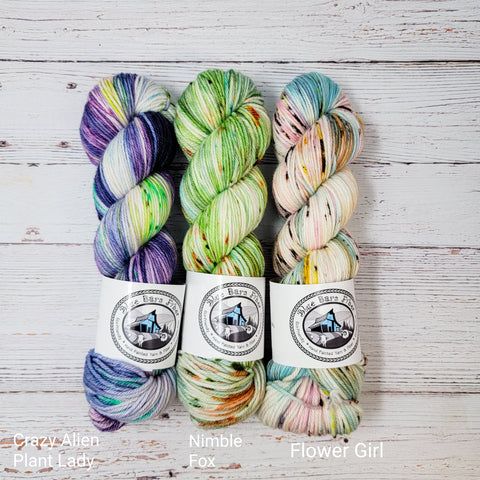 Crazy Fox Girl Fade Yarn Set - Crazy Alien, Nimble Fox, Flower Girl -  3 100g skeins of Hand dyed