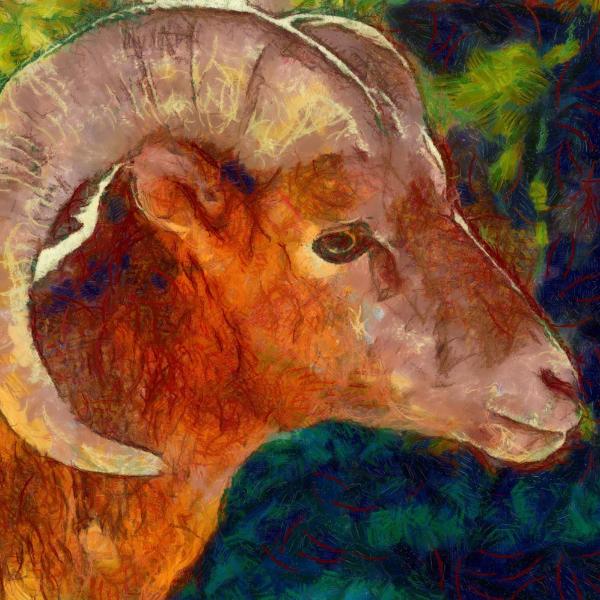 Art Print -High Quality- Oil Painting- Bighorn Sheep