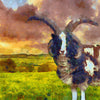 Art Print -High Quality- Oil Painting- Jacob Sheep
